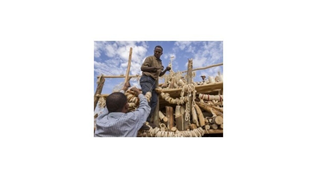 Etiópske úrady spálili šesť ton slonoviny z ilegálnej činnosti